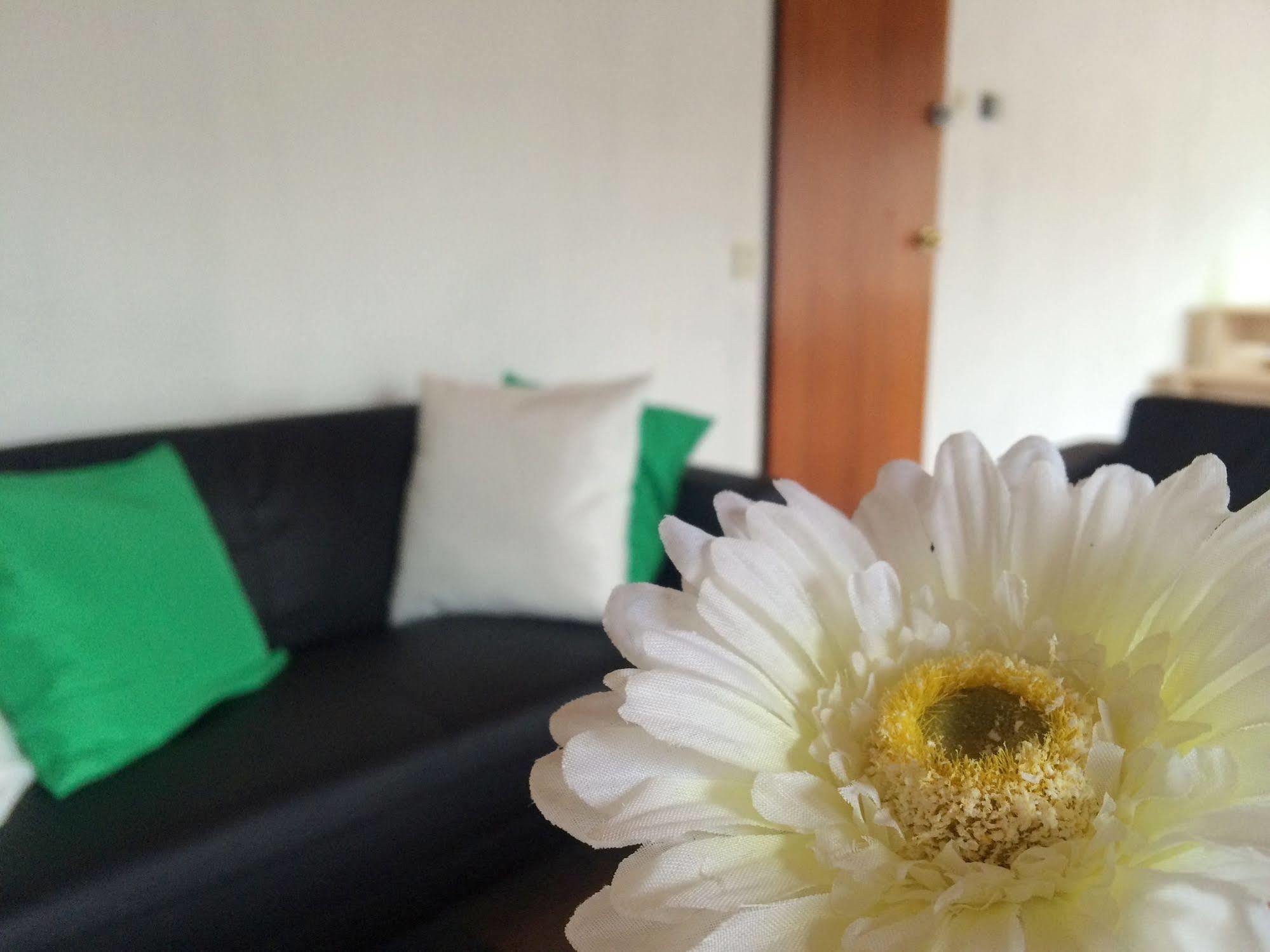 The Budget Hotel Hazerswoude-Rijndijk ภายนอก รูปภาพ